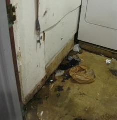 interior water damage at ground level 